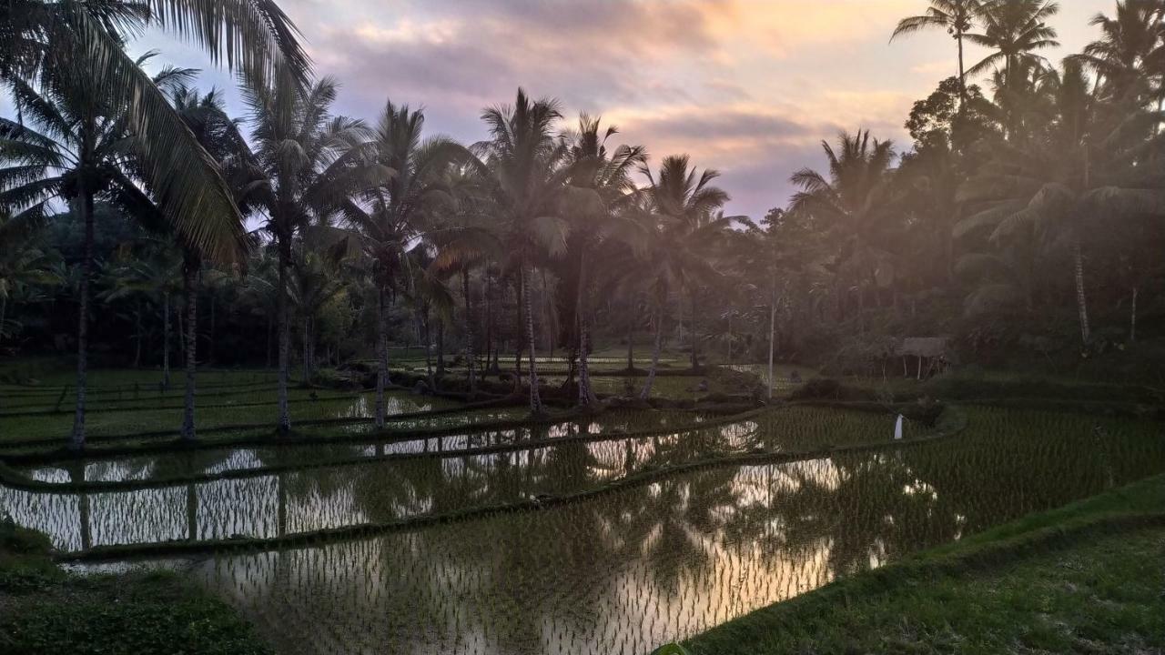 Apartmán Bale Kembang Kuning Tetebatu Exteriér fotografie