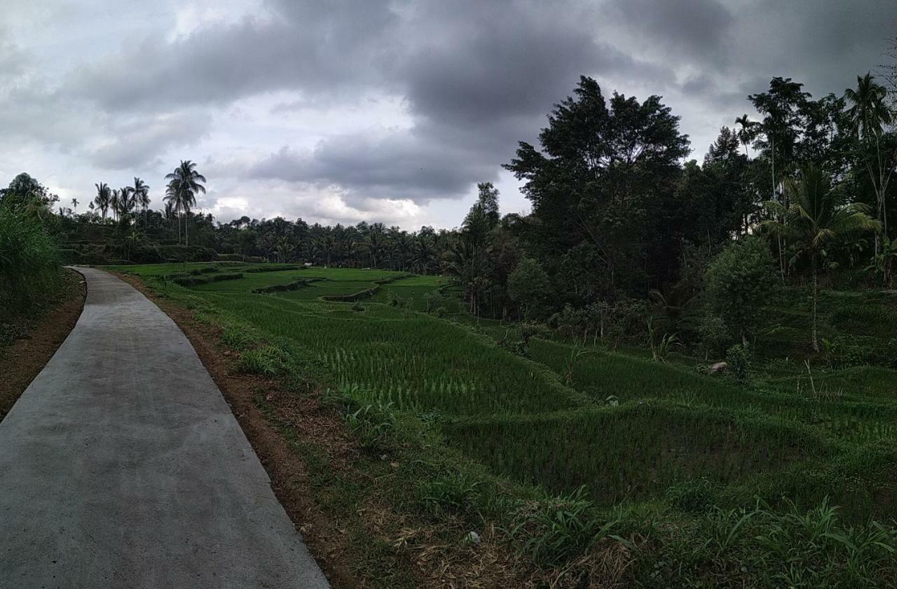 Apartmán Bale Kembang Kuning Tetebatu Exteriér fotografie