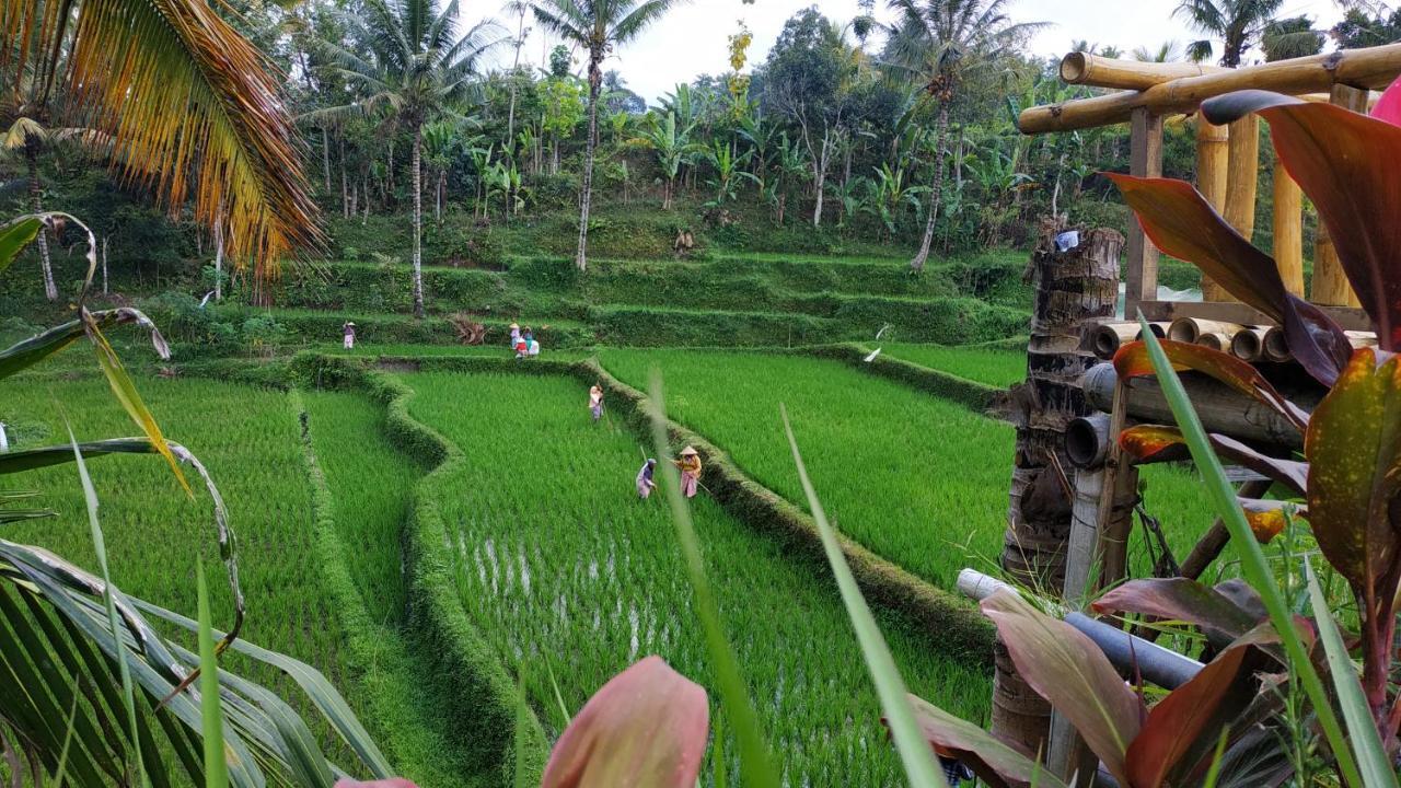 Apartmán Bale Kembang Kuning Tetebatu Exteriér fotografie